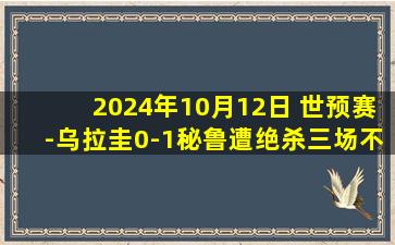 2024年10月12日 世预赛-乌拉圭0-1秘鲁遭绝杀三场不胜 秘鲁收获世预赛前9轮首胜